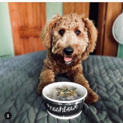 22oz Custom Salad Bowl